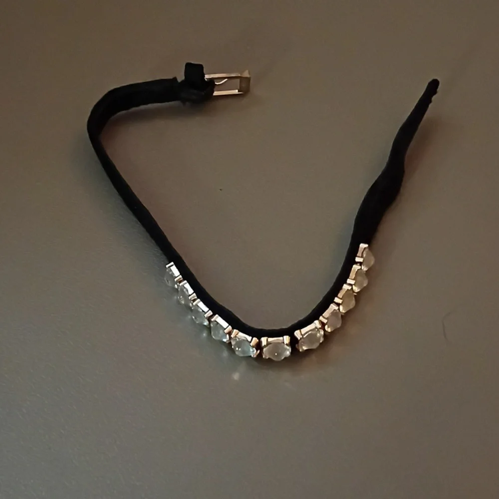 Elegant Black and Gold Cat or Small Dog Collar